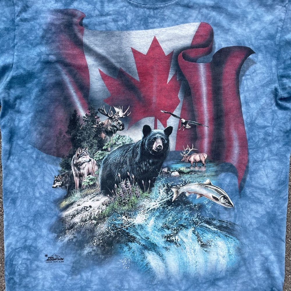 Vtg 2014 The Mountain Canadian Wilderness Tie Dye T-Shirt • Men’s L 23x29 - Picture 6 of 7
